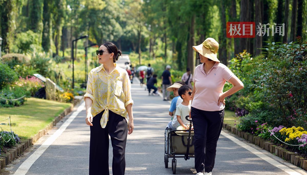 糖果派对彩金什么样